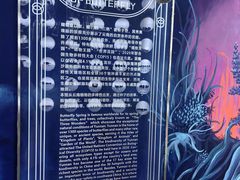 -蝴蝶泉公园