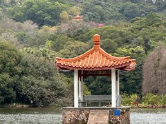 -深圳仙湖植物园