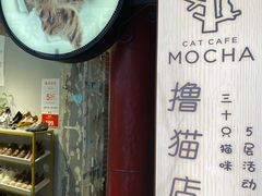 -MOCHA明星猫咖(田子坊店)