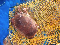 -盒马鲜生(曜一城店)