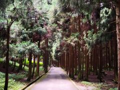 -阿依河景区