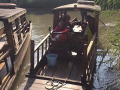 -溱湖国家湿地公园