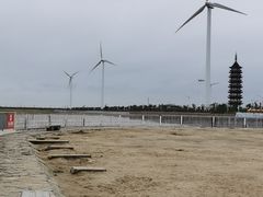-碧海金沙