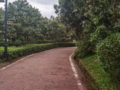 -大屏嶂森林公园