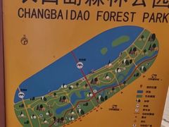 -长白岛森林公园