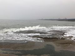 -日照海滨国家森林公园