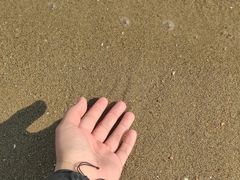 -集美学村