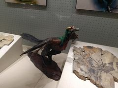 -辽宁古生物博物馆