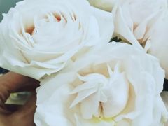 -昆明国际花卉拍卖交易中心