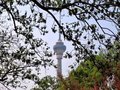 -中央广播电视塔