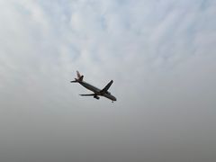 -空港花田景区