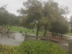 -武汉大学-樱园