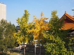 -云龙湖旅游景区