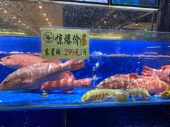 -宁海食府(北岸琴森店)