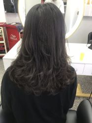 -MODEL SAGA名媛世家