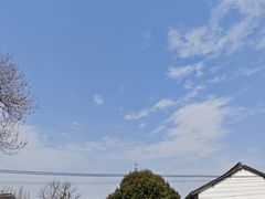 -状元楼(金溪路店)