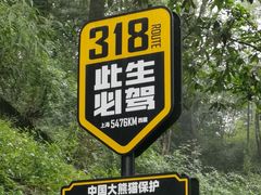 -中国大熊猫保护研究中心雅安碧峰峡基地