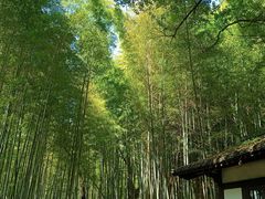 -兰亭风景区