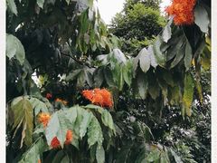 -云溪植物园
