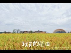 -中国天府农业博览园