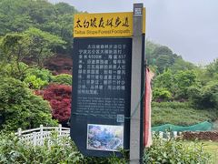 -北仑森林植物园