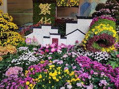 -杭州植物园