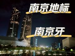 -南京眼步行桥