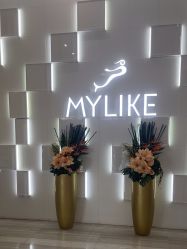 -深圳美莱医疗美容医院