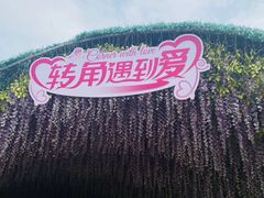 -荷兰花海