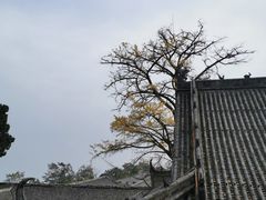 -金堂县云顶石城风景区