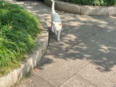 -西园寺素食(西园弄戒幢律寺店)