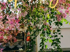 -深圳国际园林花卉博览园