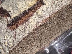 -佐敦面包铺·JORDAN BAKERY