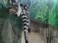 -西安秦岭野生动物园