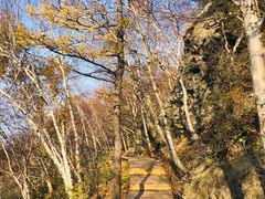 -白草畔自然风景区