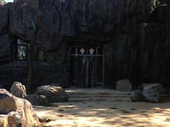 -北京周口店北京人遗址博物馆