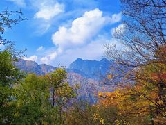 -秦岭终南山世界地质公园翠华山景区