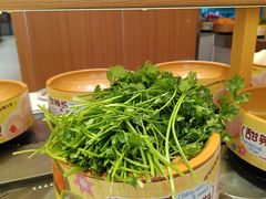 -龍歌自助小火锅(市南金茂湾店)