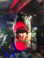 -恐龙探索乐园(磁器口店)