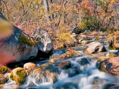 -玉渡山自然风景区