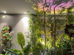 -施奈儿.洗头頭療.按摩SPA.采耳(上梅林店)
