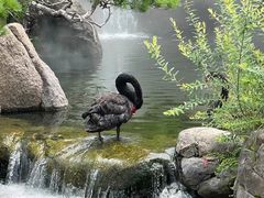 -罗红摄影艺术馆