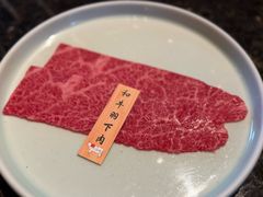 -老乾杯(深圳湾万象城店)