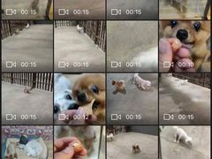 -宠物之家Pets Home 宠物寄养酒店