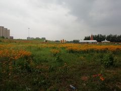 -丁香湖公园
