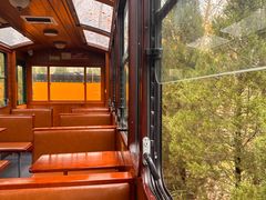 -合肥滨湖国家森林公园