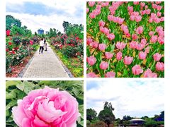 -陕西省西安植物园