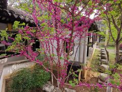 -常熟方塔园