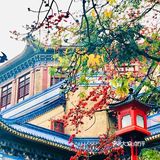 其实我心目中最喜欢的“家”的味道