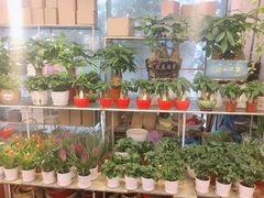 -双季花艺园艺市场(浦东店)
